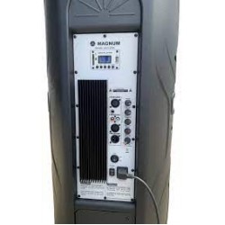 Magnum 15" Powered Speaker