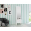 Standing Mirror with Jewelry Storage Standing Mirror with Jewelry Storage